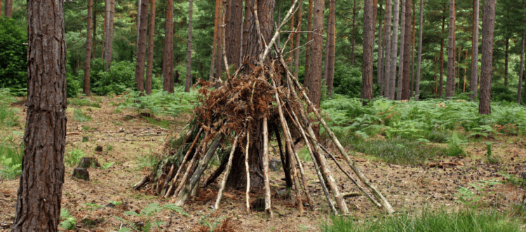 How to build your own fort - Camp Wilderness