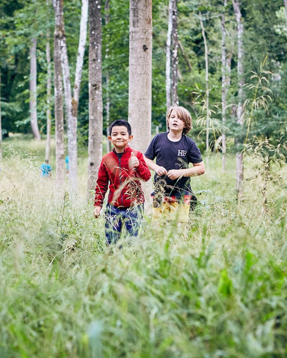 Woodland walks at Boughton Woods